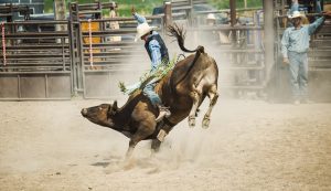 Coming Up: Silver State Stampede