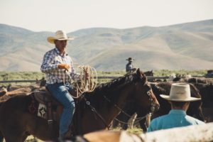 home-of-art-and-history-of-cowboy-elko