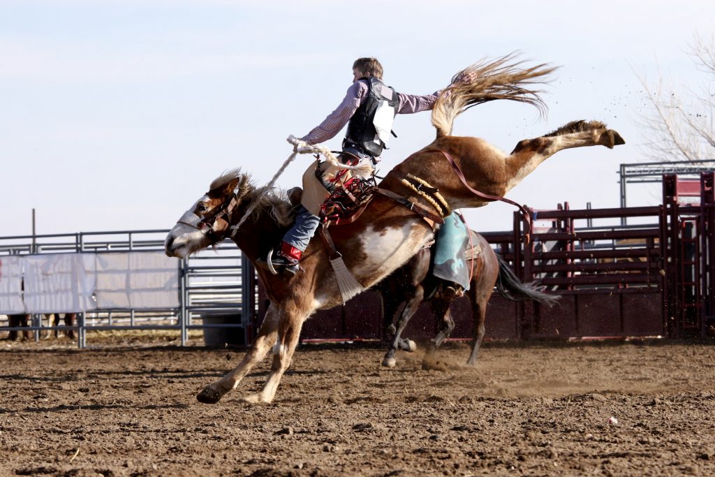 Coming Up: Dinosaur Roundup Rodeo